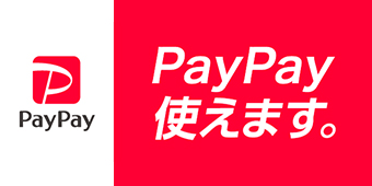 ＰａｙＰａｙ使えます。