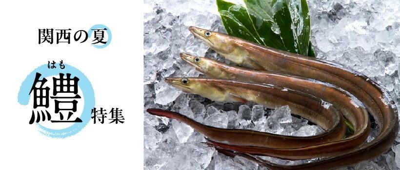ページタイトル画像