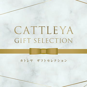 大丸・松坂屋カトレヤギフトセレクション　ＷＥＢオーダーカード