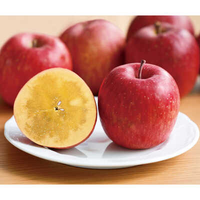 １００％蜜入りりんご「こうとく」（青森県産）