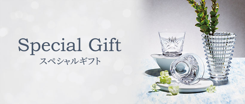 SPECIAL GIFT　スペシャルギフト
