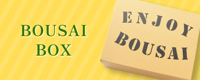 BOUSAI BOX