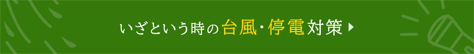 いざという時の台風・停電対策