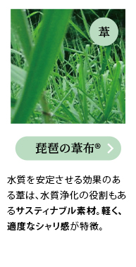 琵琶の葦布