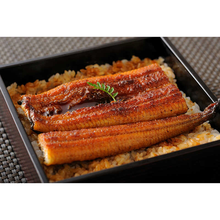 【父の日】浜名湖うなぎ蒲焼（カット）