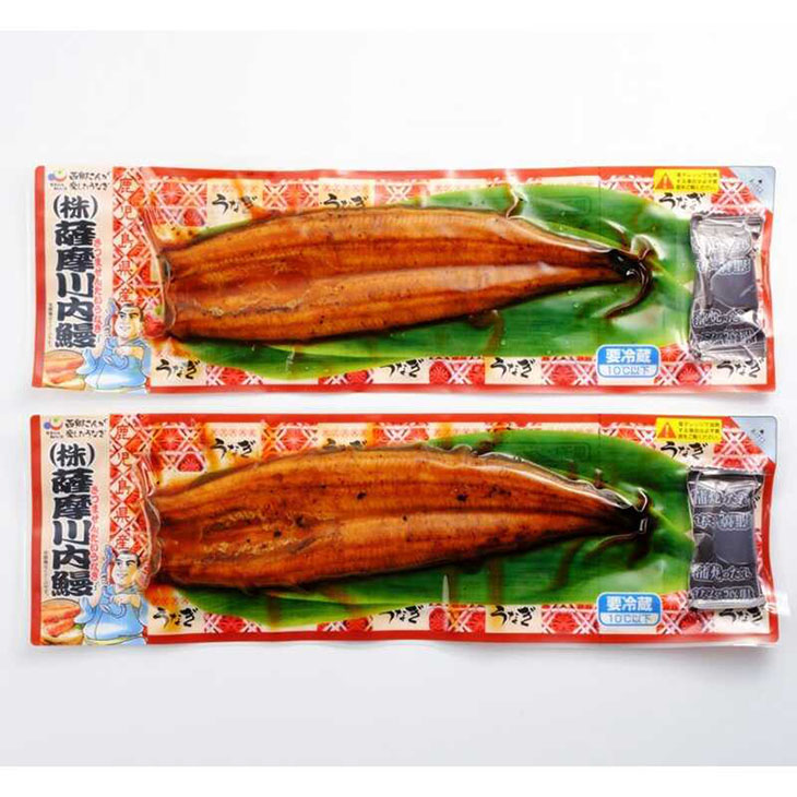 【父の日】鹿児島県産うなぎ長焼きセット