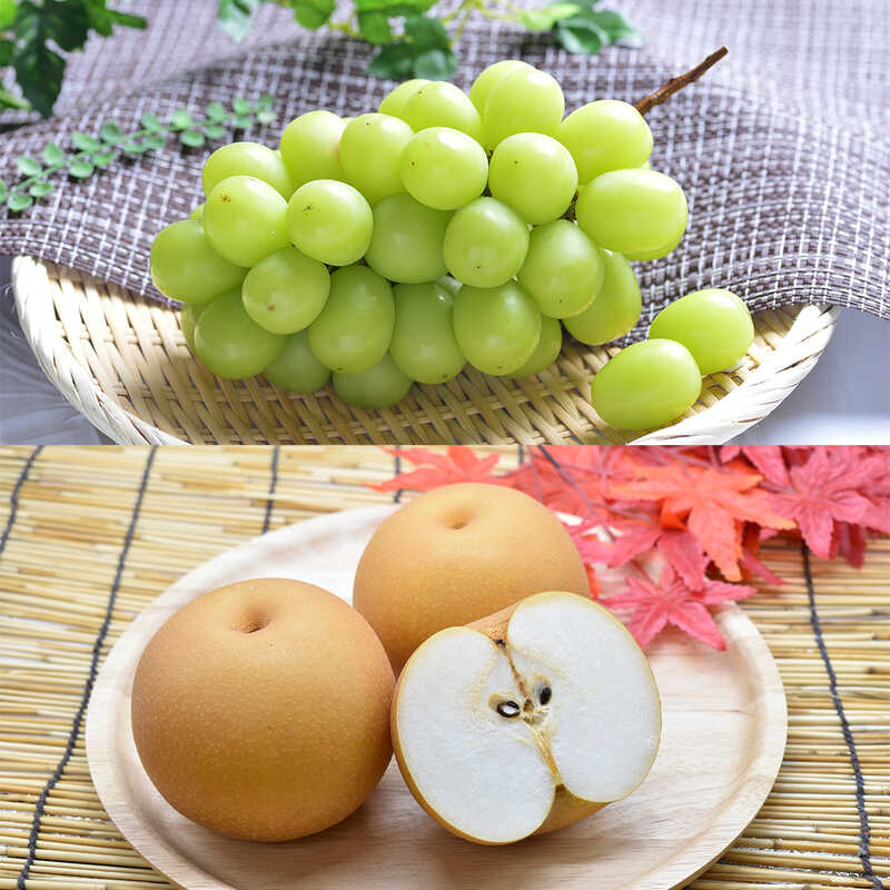 【敬老の日】シャインマスカット・高糖度梨詰合せ