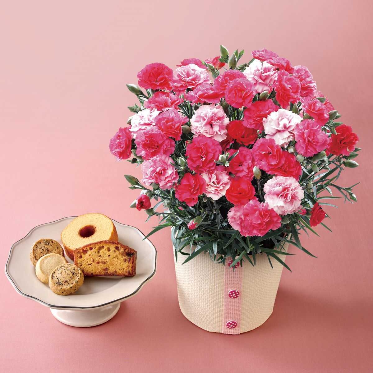 【母の日】カーネーション（さくらもなか）＆「パティスリー　キハチ」アソートＢＯＸ