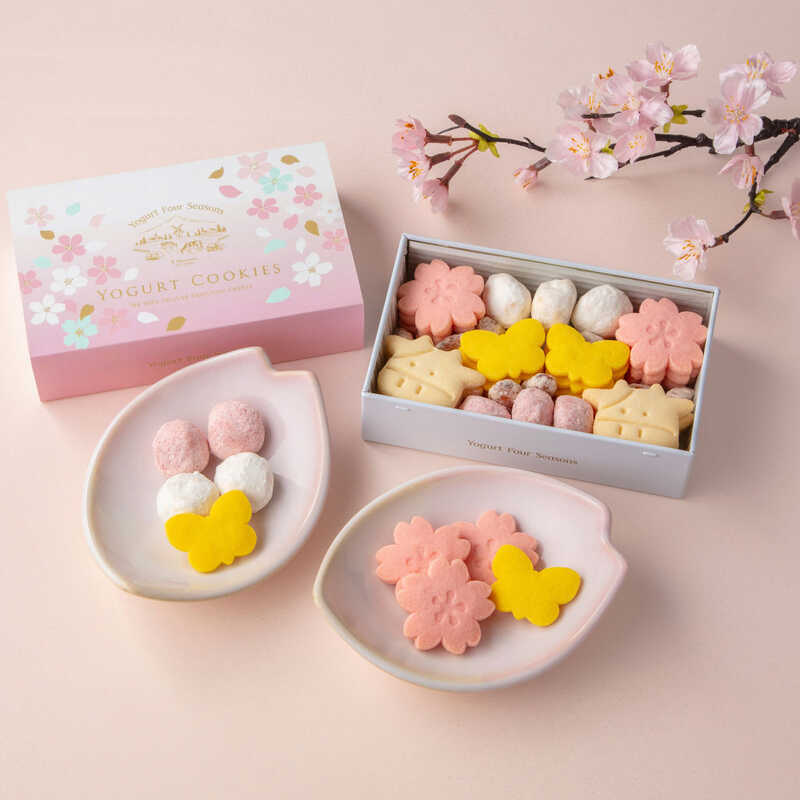 【ホワイトデー】ヨーグルトさくらクッキー缶