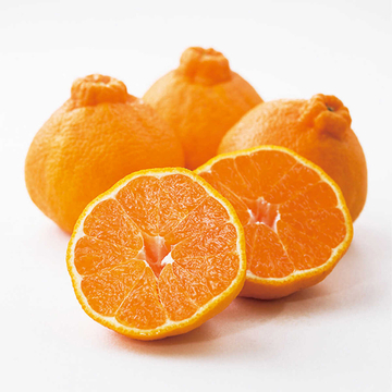 旬のフルーツをお取り寄せ