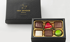 ヴァン デンダー