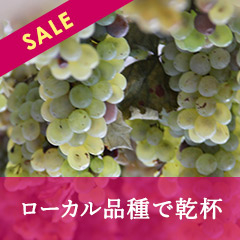 生産地を色濃く反映した個性豊かな地場品種をぜひお試しください