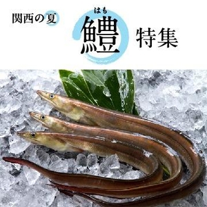 鱧特集