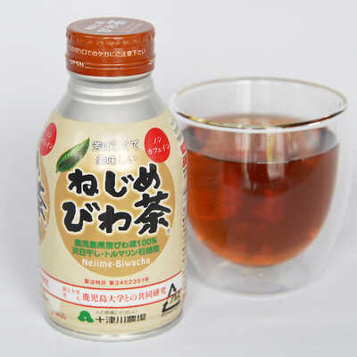 【数量限定】旧モデル在庫処分セールを開催します！ ねじめびわ茶ボトル2ケース｜大丸松坂屋オンラインストア【公式 その他