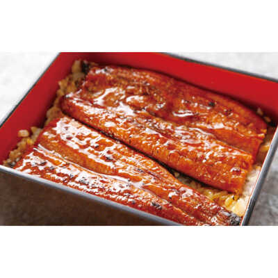 鹿児島県産うなぎ蒲焼4尾