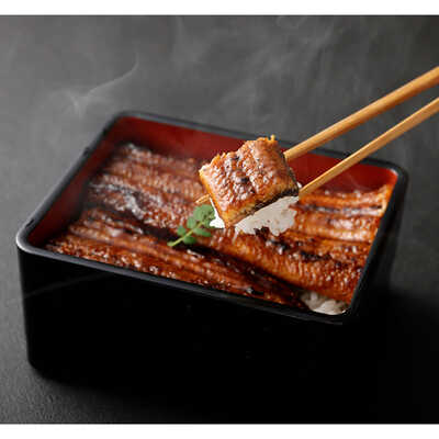 鹿児島県産うなぎ蒲焼5尾