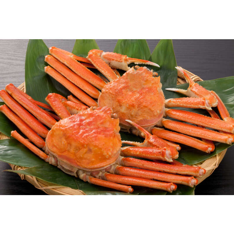 冷凍 天ぷら - その他の魚介類の人気商品・通販・価格比較 - 価格.com 冷凍 天ぷら - その他の魚介類の人気商品・通販・価格比較 - 価格.com