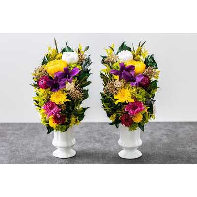 紫雲　凛（１本）