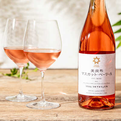 　ｔｏｓａ　ｃａｖａｔｉｎａ　美良布　マスカット・ベーリーＡ　ロゼ　２０２３