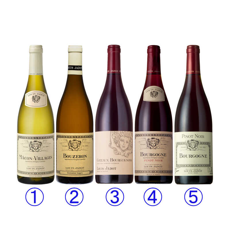最高の品質の 750ml ド ペイ フランス ブリュ キュヴェ フォンカリュ元詰 2020年 赤ワイン ドック