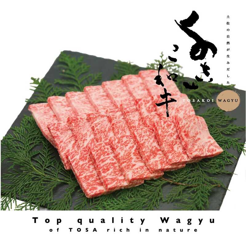 ＜大丸松坂屋＞ 高知／大川村 よさこい和牛 焼肉用画像