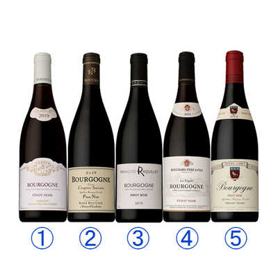 グレートヴィンテージ2019年!ブルゴーニュ生産者飲みくらべ赤5本セット