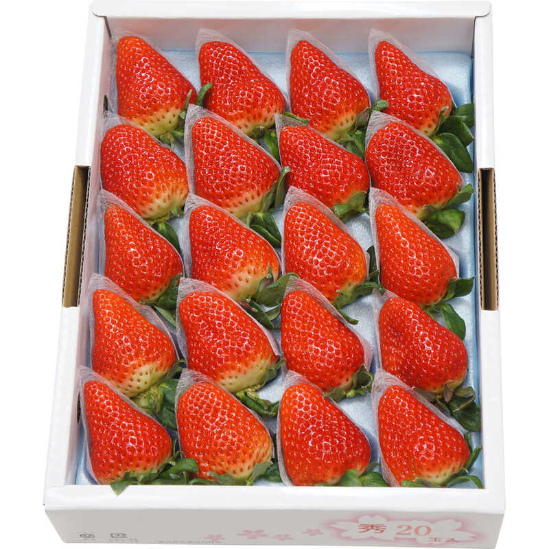 さくらももいちご｜大丸松坂屋オンラインストア【公式通販】