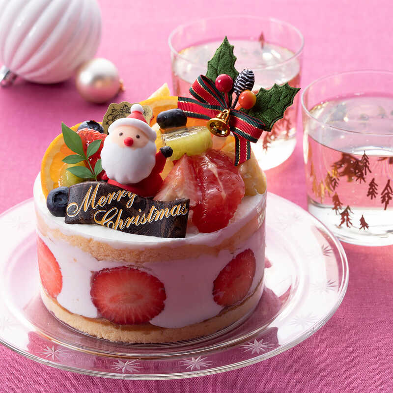 ６種の果実のクリスマスデコ４号 大丸松坂屋オンラインストア 公式通販