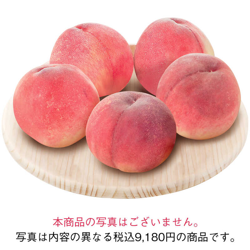 ＜大丸松坂屋＞ お中元 静岡・熱海／あをきのひもの本店 干物詰合せ