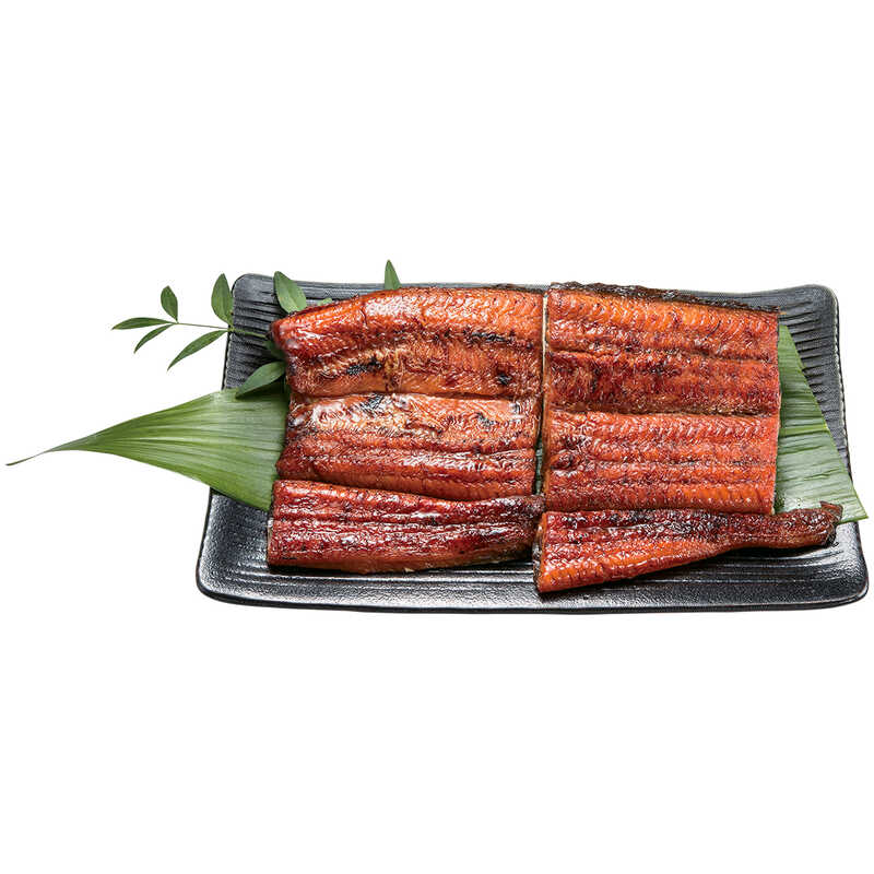 ＜大丸松坂屋＞ お中元 静岡・熱海／あをきのひもの本店 干物詰合せ