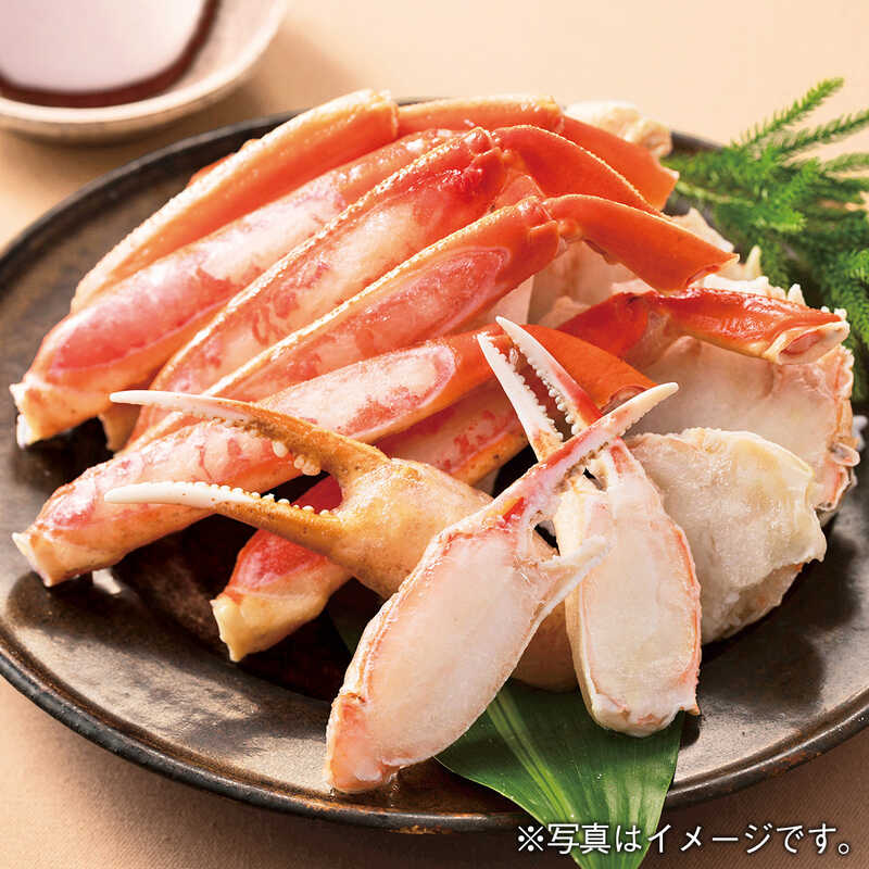 ＜大丸松坂屋＞ 北海道 北食往来 ゆでずわいがに脚（カット済）