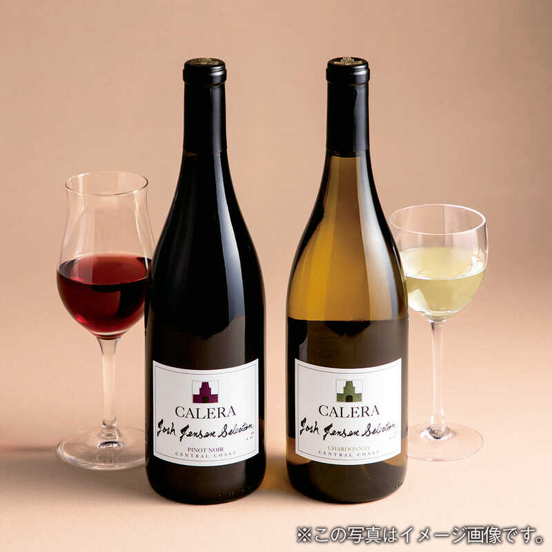 ＜大丸松坂屋＞ カリフォルニアワイン パイオニア紅白2本セット画像