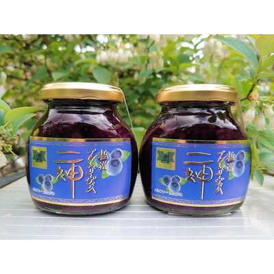 極選ブルーベリージャム“潤”セット