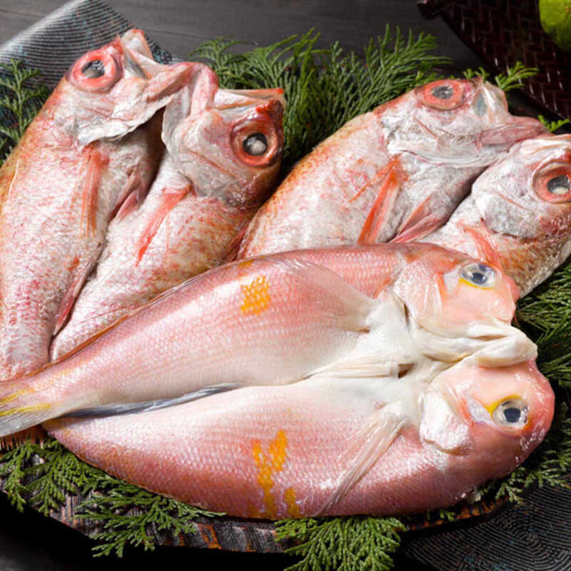 ＜大丸松坂屋＞ 大和養魚 浜名湖うなぎ蒲焼