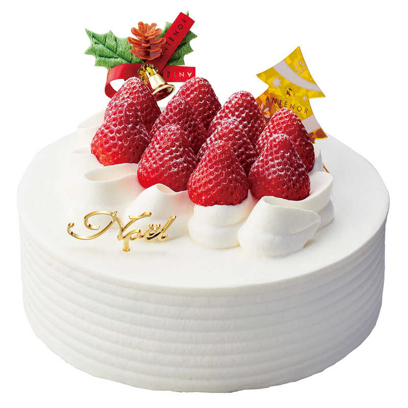  クリスマスケーキ アンテノール ノエル・フレーズ 18cm