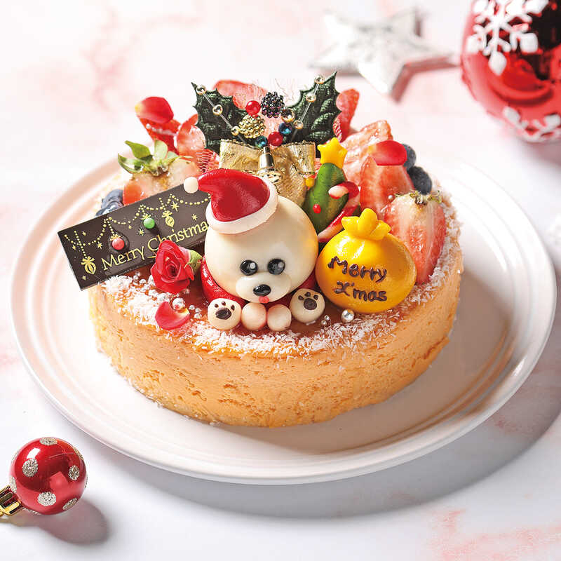  クリスマスケーキ BIANCA pizza dining ＆ sweets lab ビションフリーゼのチーズケーキ