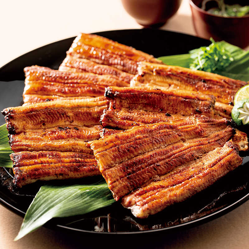 ＜大丸松坂屋＞ 大和養魚 浜名湖うなぎ蒲焼