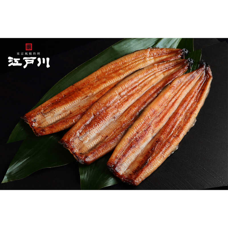 ＜大丸松坂屋＞ 浜名湖／大和養魚 浜名湖うなぎ蒲焼（カット）