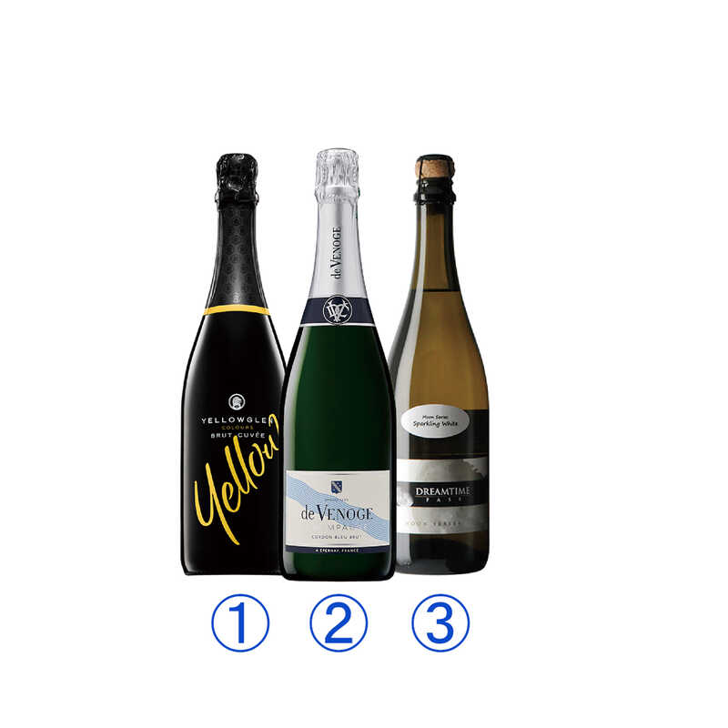 ＜大丸松坂屋＞ ヴィレッジ・セラーズ株式会社 シャンパーニュ入りお得なスパークリングワイン3本セット画像