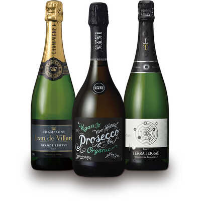 Amazon.co.jp: 伝説のナチュラルワイン！ルメールフルニエ&パタポン2本の3本セット！ : 食品・飲料・お酒
