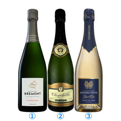 【お値下げ!】飲み比べ♪グラン・クリュ 特級シャンパーニュ 2本セット♪ 全てがグラン・クリュ！厳選シャンパーニュお買い得3本セット