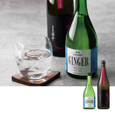 焼酎　720ml 10本セット 楽天市場】二階堂麦焼酎飲み比べギフトセット（吉四六 ガラス