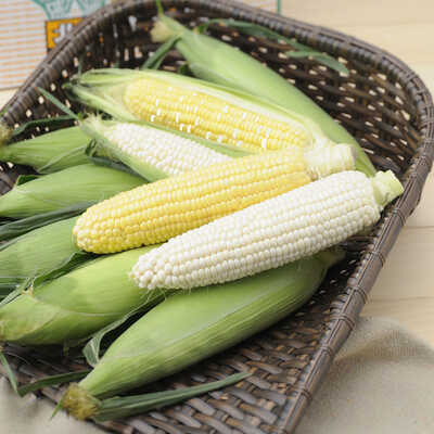 3種のとうもろこしセット｜大丸松坂屋オンラインストア【公式通販】