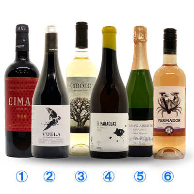 スペインをワインで巡る６本セット