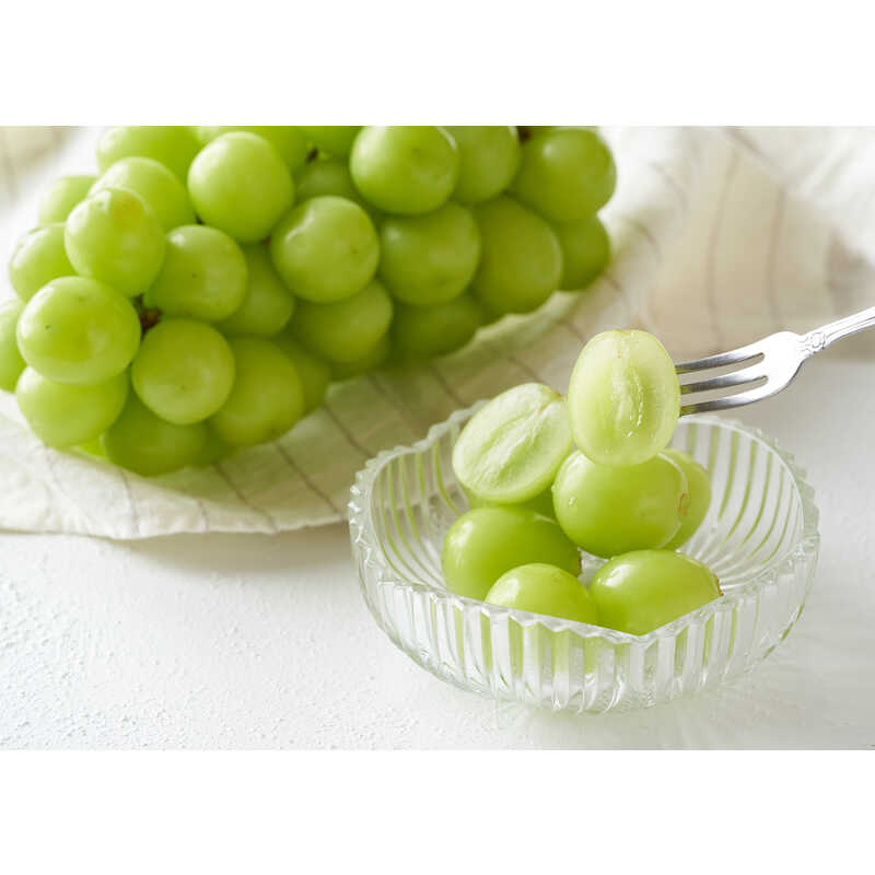 ݾ䲰饤󥹥ȥ㤨