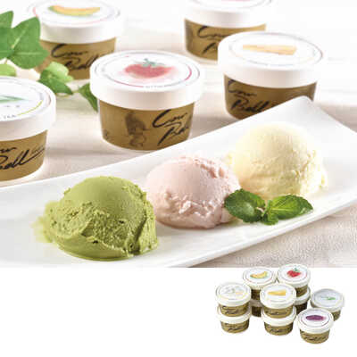 北海道カウベルアイスクリーム１０個セット