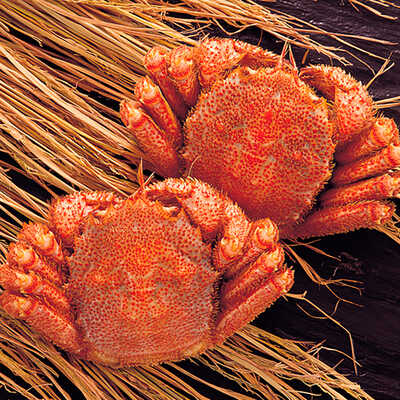 ボイル毛がに　中２尾