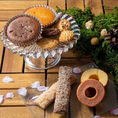 【手提】森の庭　森の焼き菓子　フラワーリース　１０個入