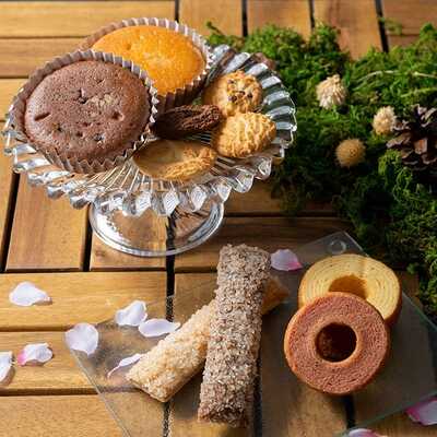 【手提】森の庭　森の焼き菓子　芽吹き　１６個入