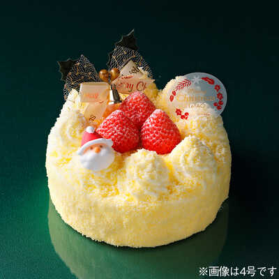 【大丸札幌店店頭受取ケーキ１２月２５日受取り】クリスマスドゥーブル５号